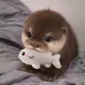 Otter