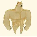 SWOGE