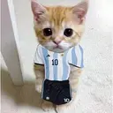 Meowssi