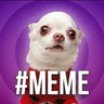 #MEME