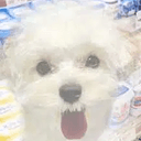 精神