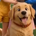 GiggleDog