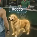 ROCCO