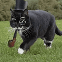 DAPPERCAT