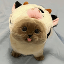 kitbull
