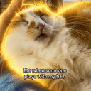 fadedcat