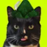 meowwifhat
