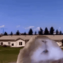 DRABBIT