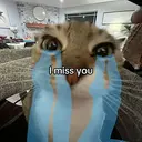 sobcat