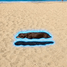 FLOAT