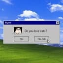 LoveCat