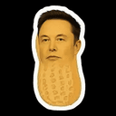 Pnut