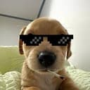 COOLBILLY