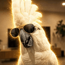 Jackson