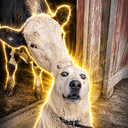 SIDEDOG