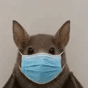 mask