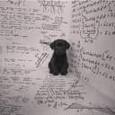thesisdog