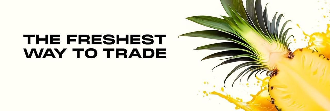 Pineapple Banner