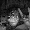 BIGTROUT