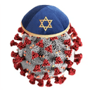 חנטה