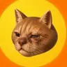 CATINU