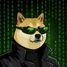 Agent Doge