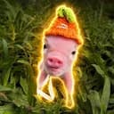 smolpig