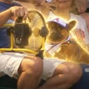 FANDOG