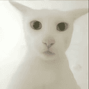 老吴
