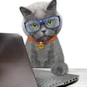 CYBERCAT