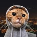 HOODCAT