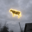 holycow