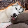 凪ちゃん