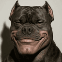 DRILLA