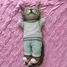 ChillCat