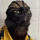 PimpCaT