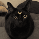 NIGCAT