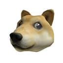 TDOG