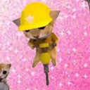 DRILLCAT