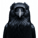 Munin