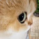 EYWA