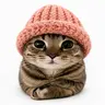 WIFBEANIE