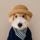 Benben