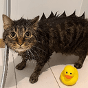 CATZILLA