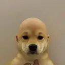 wifout