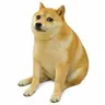 CASHDOG
