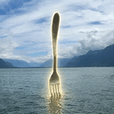 Fork