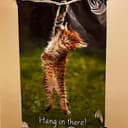HANG
