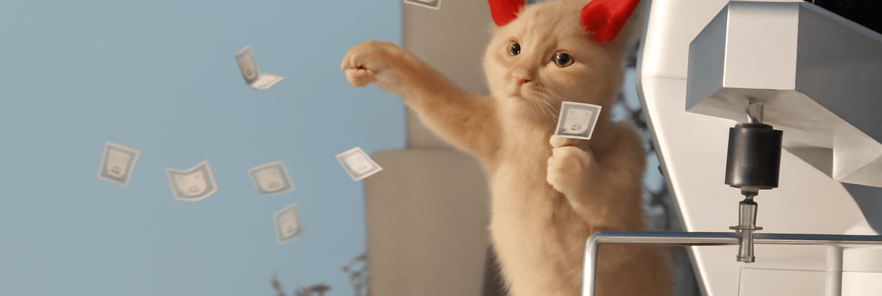 chaton Banner