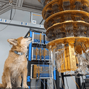 QUBIT